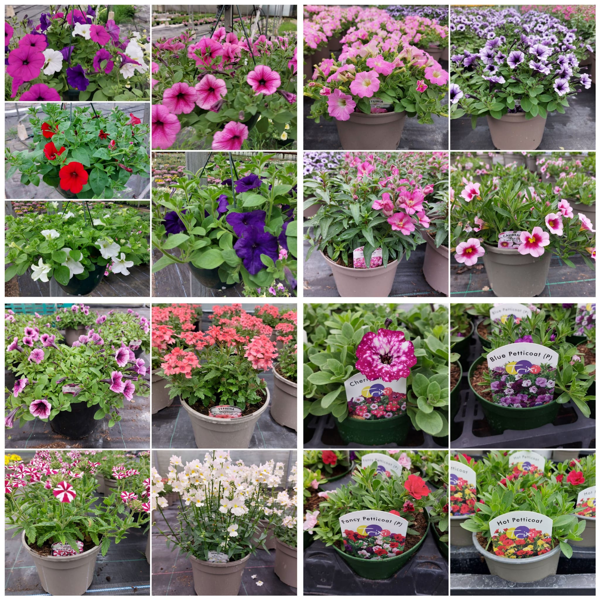 Looking Good Jobs Cottage Nursery